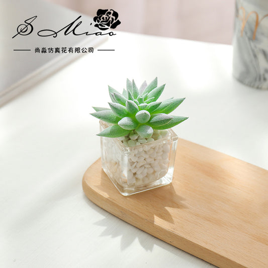 Mini Artificial Succulent Plants with Glass Pot