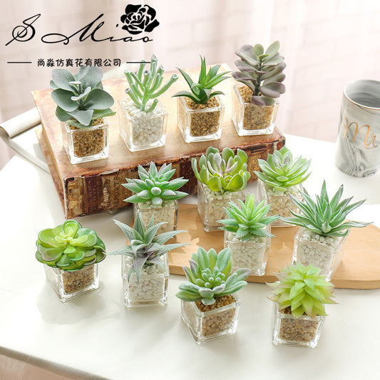 Mini Artificial Succulent Plants with Glass Pot