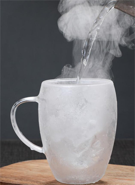Double Walled Borosilicate Mugs